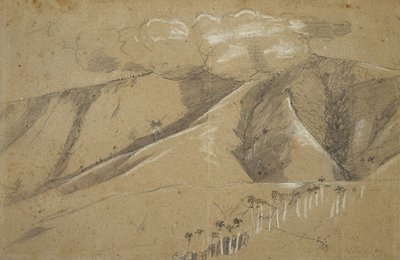 Palme reali, Santiago de Cuba da Winslow Homer
